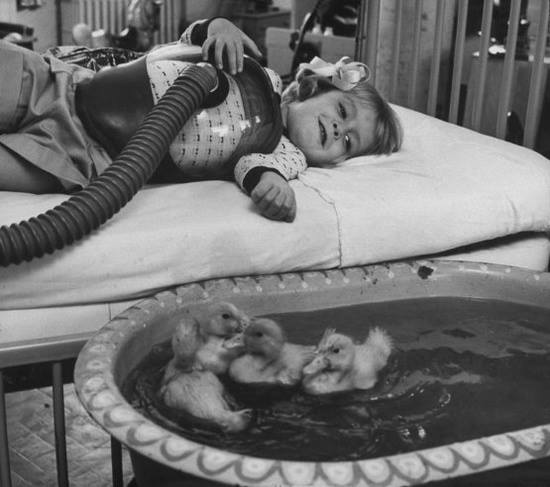 Photo caption is Animals being used as a part of medical therapy in 1956. Source Unknown